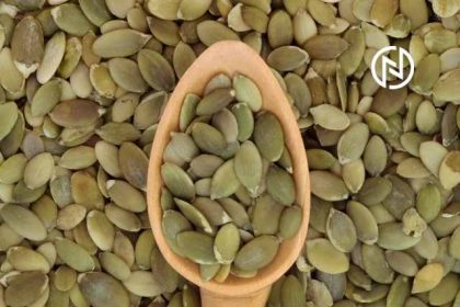 7 Benefits Of Adding Pumpkin Seeds To Your Diet