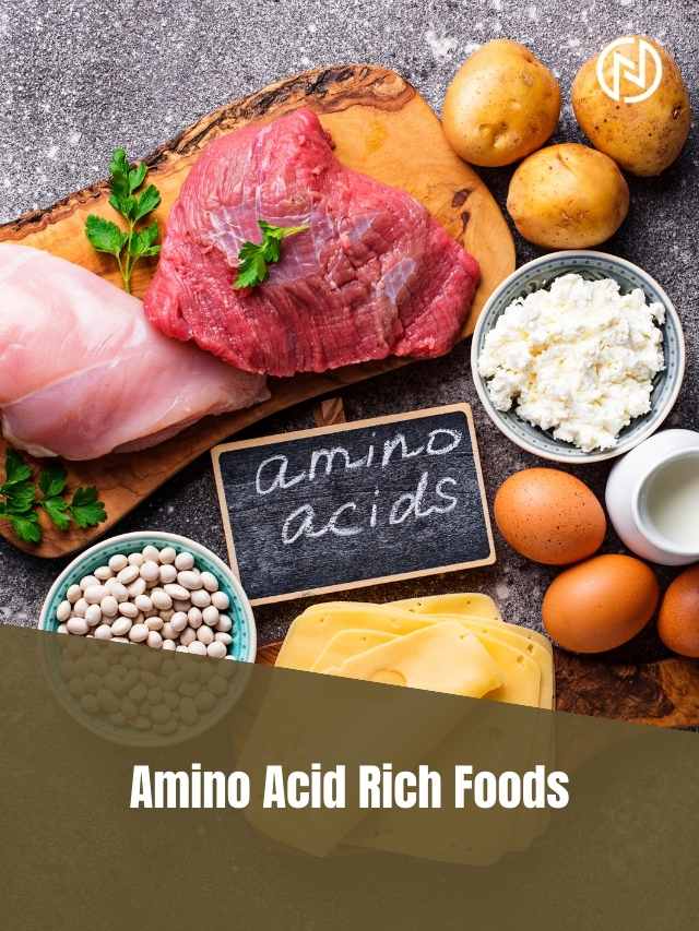 Amino Acid Rich Foods | Neera Fitness