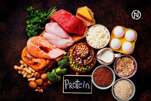 Understanding Protein: The Building Block of Life